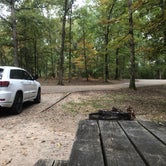Review photo of Natchez Trace Wrangler Camp — Natchez Trace State Park by Mr. H., October 16, 2020