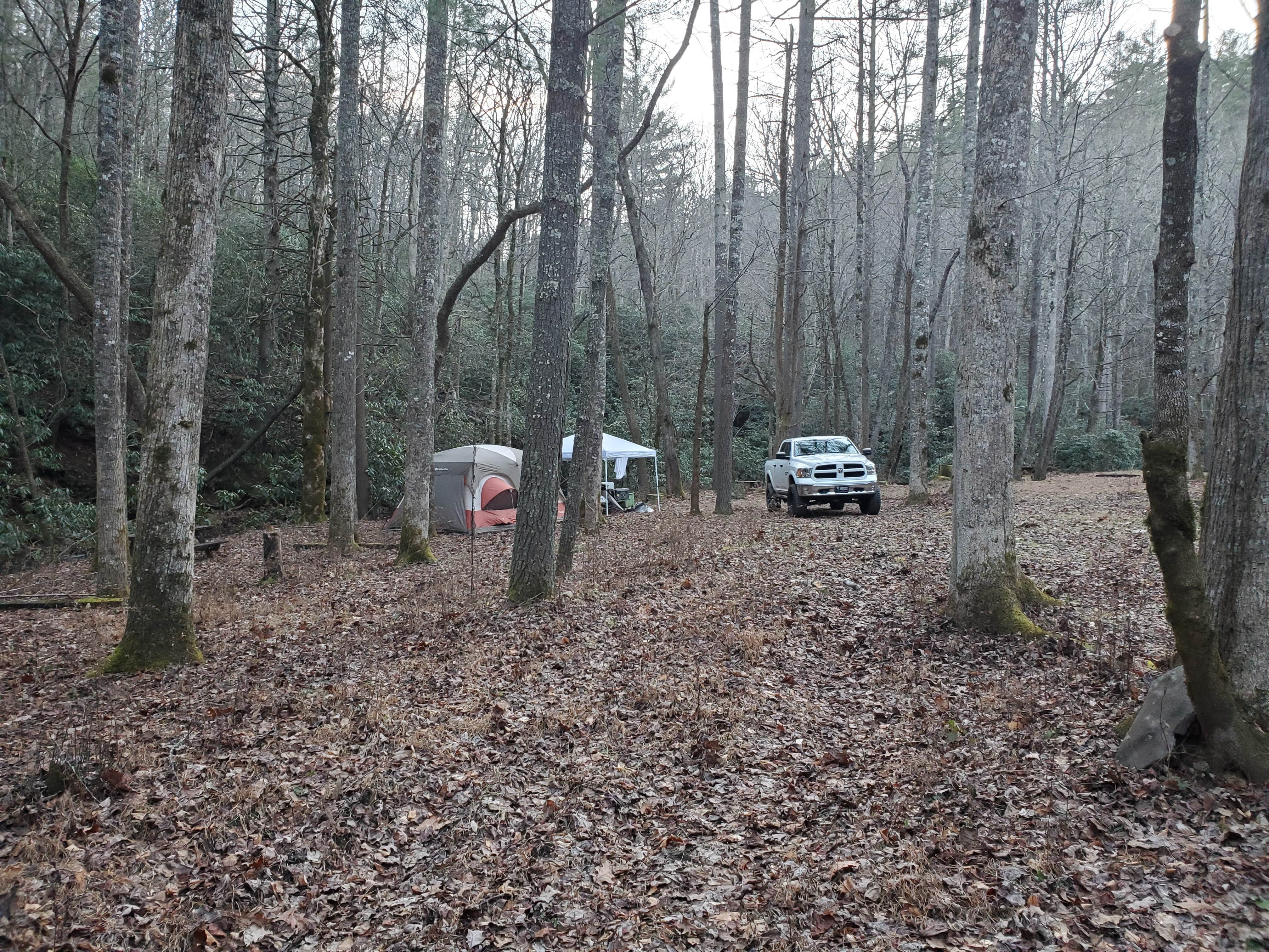 Jesse D.'s photo at Enota Mountain Retreat in Georgia