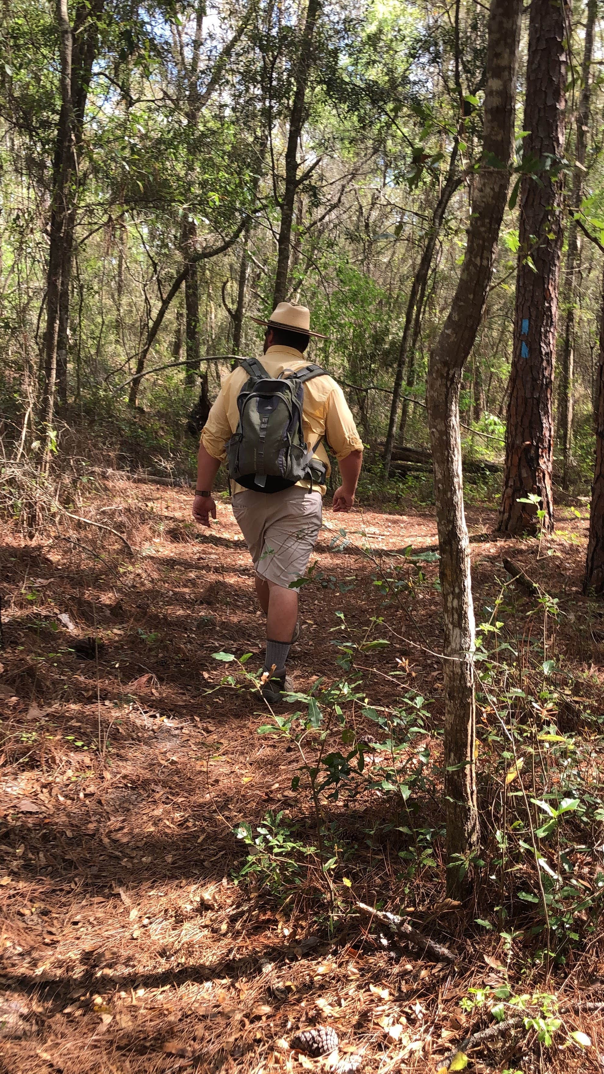 Camper submitted image from Mutual Mine - Withlacoochee State Forest - 2