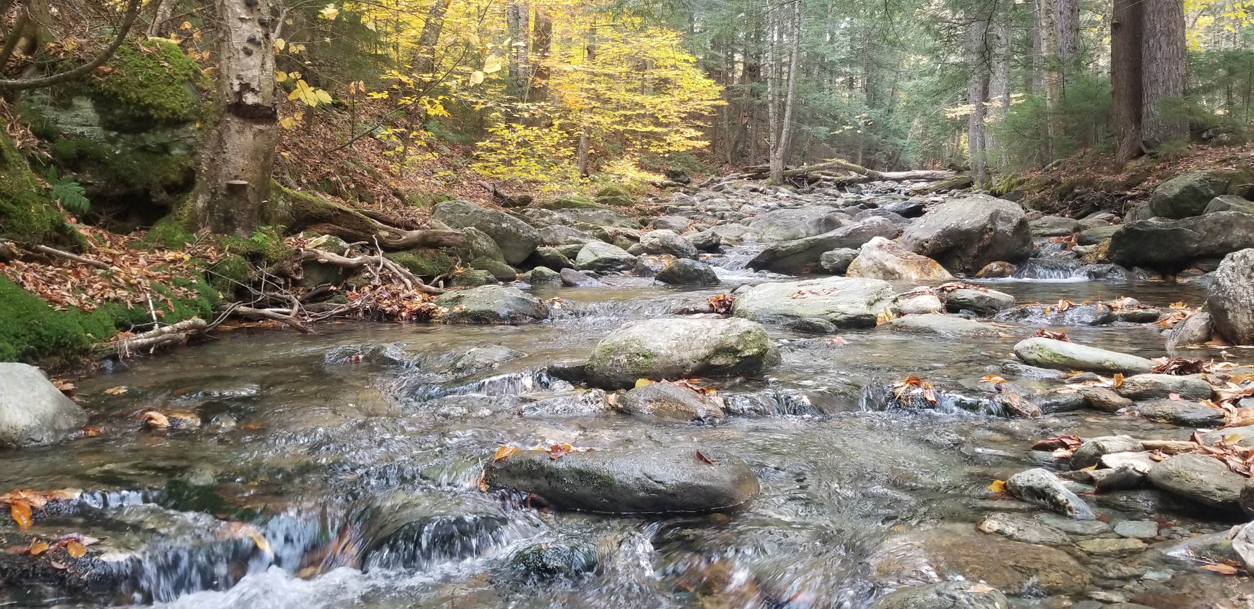 Camper-submitted photo at White River & Gulf Brook near Randolph, VT