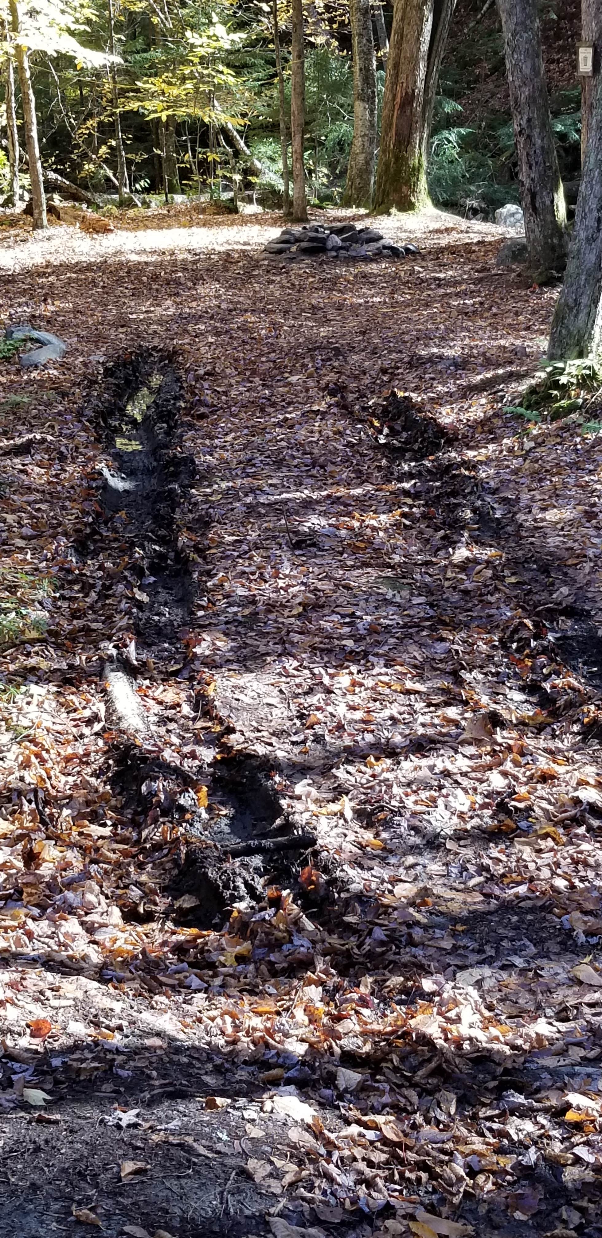 Camper-submitted photo at White River & Gulf Brook near Randolph, VT