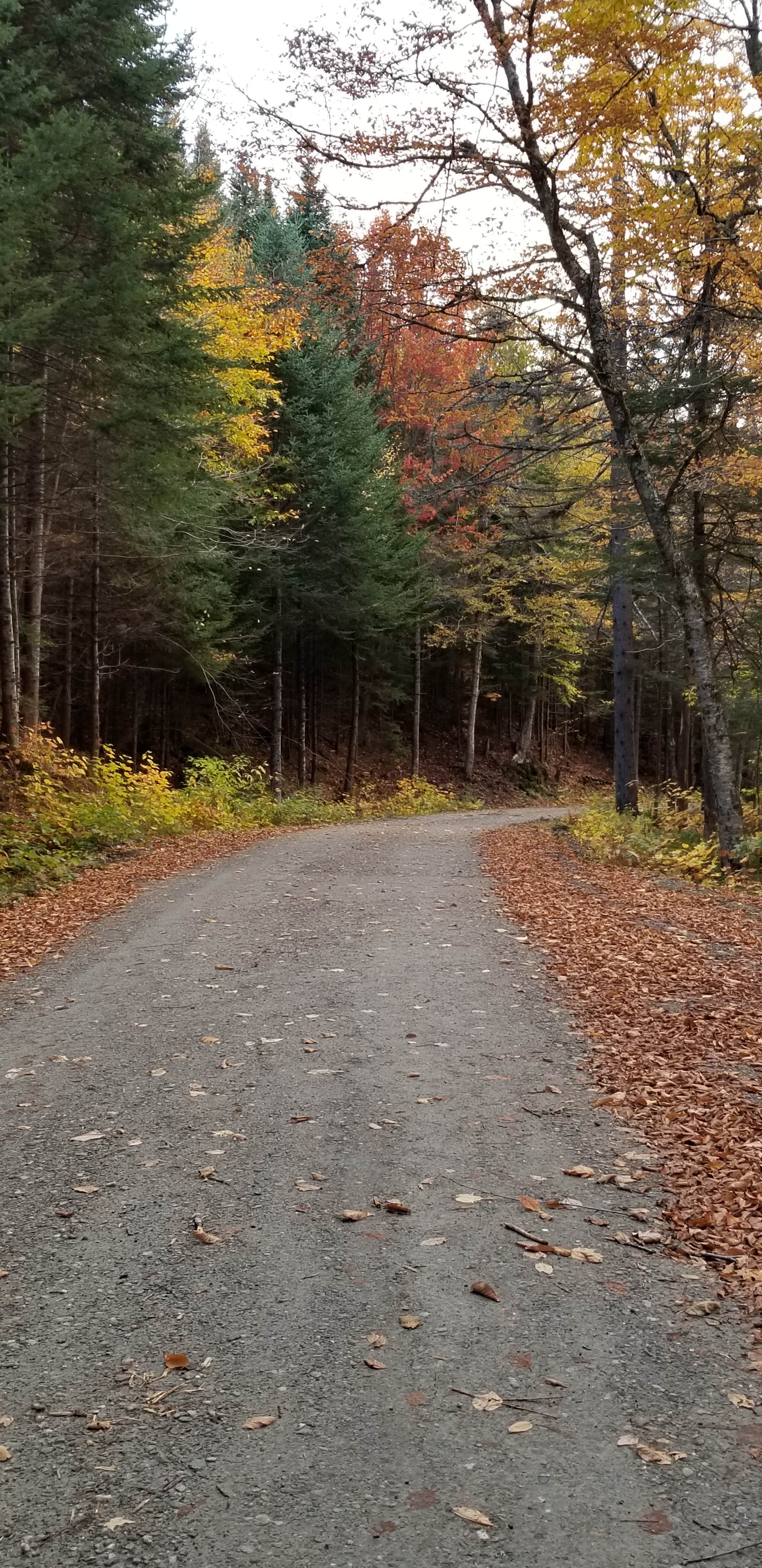 Camping near Mountain Trails Camping Area: White River & Gulf Brook, Granville, Vermont