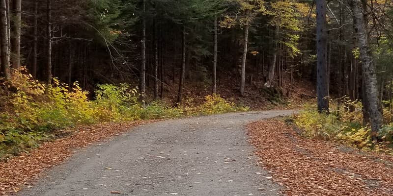 Camper submitted image from White River & Gulf Brook