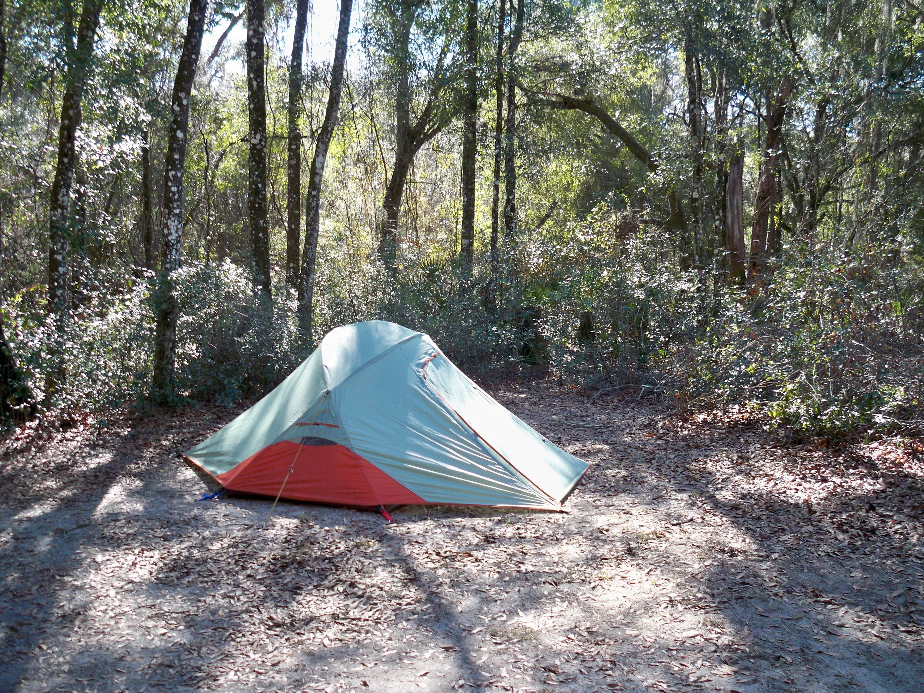 Jesse D.'s photo of tent camping at Crooked River Campground — Withlacoochee State Forest near Lutz, FL