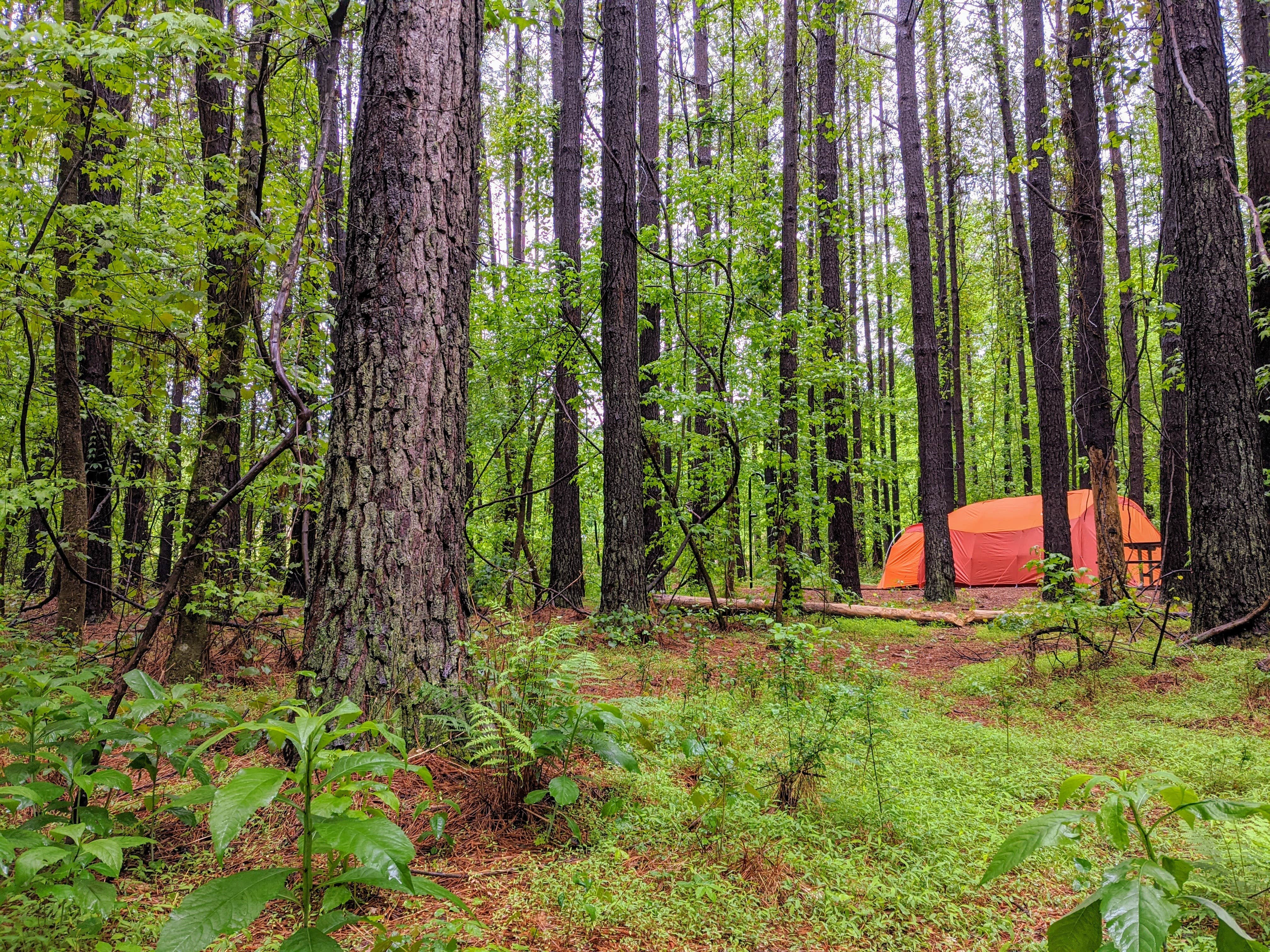 Camper-submitted photo at Chattahoochee Bend State Park Campground near Fairburn, GA