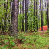 Review photo of Chattahoochee Bend State Park Campground by Everette G., October 16, 2020