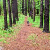 Review photo of Chattahoochee Bend State Park Campground by Everette G., October 16, 2020