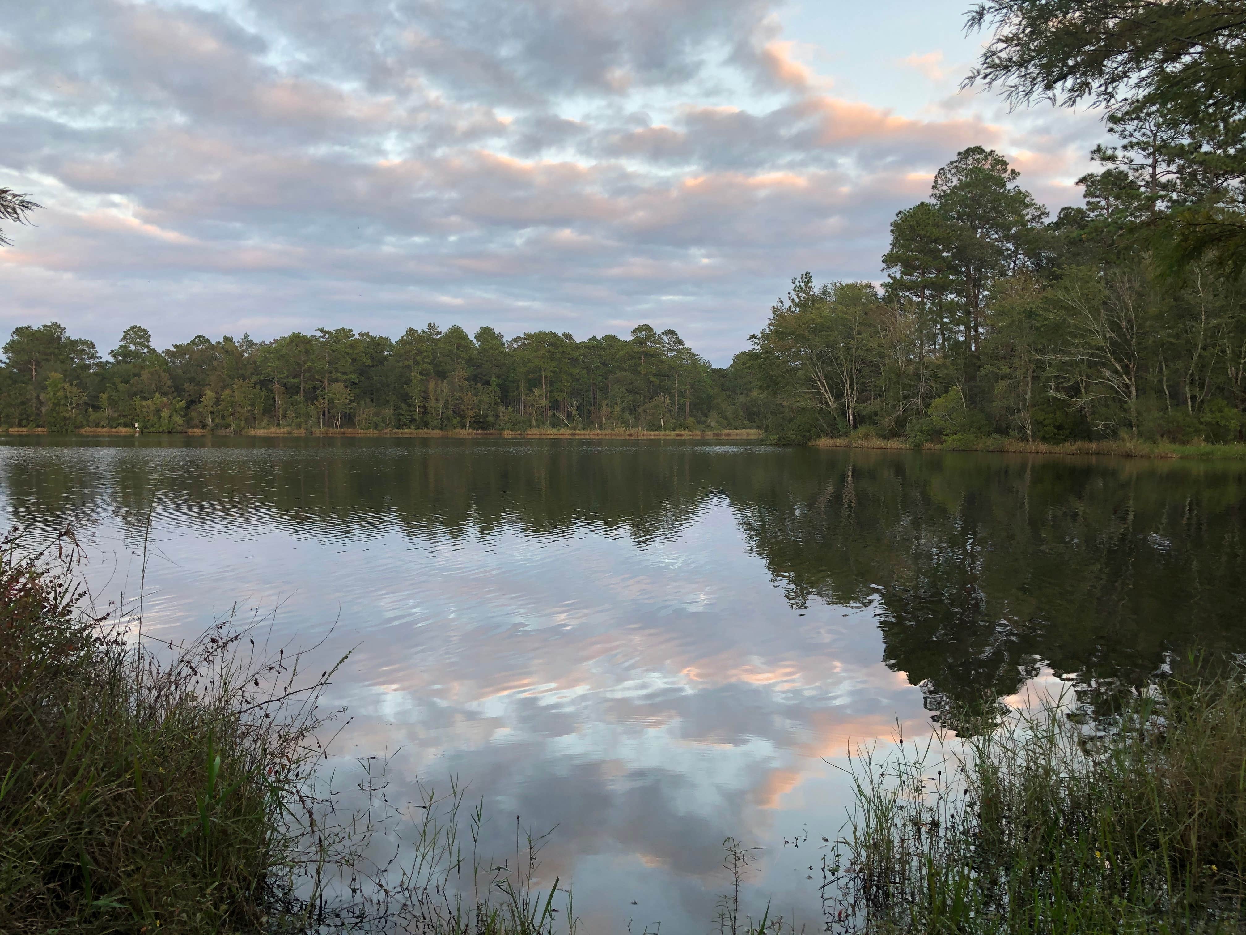 Camper submitted image from South Hurricane Lake Recreation Area - 5