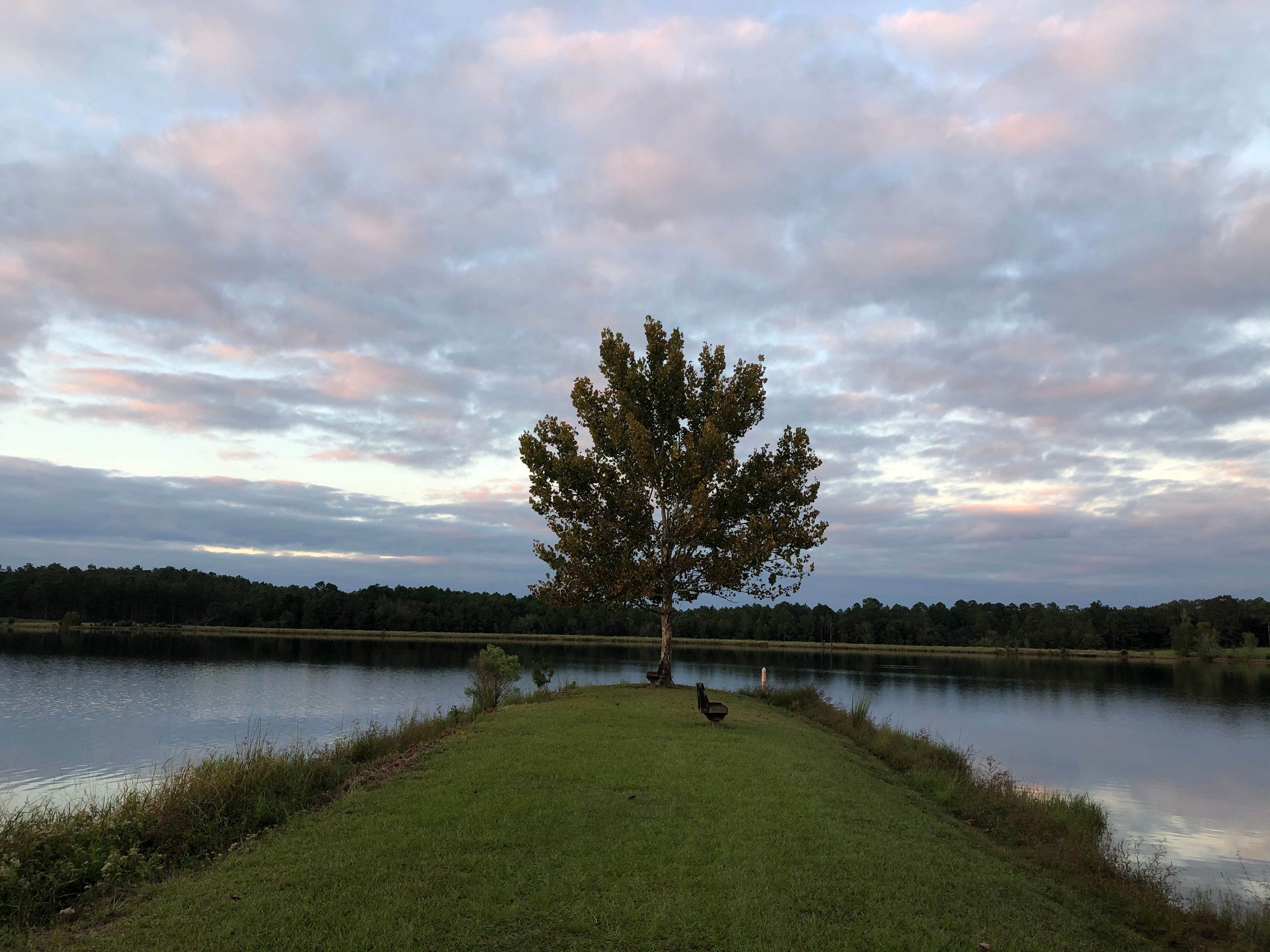 Camper submitted image from South Hurricane Lake Recreation Area - 2