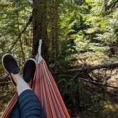 Review photo of Fish Creek Campground — Glacier National Park by Mandee L., October 16, 2020