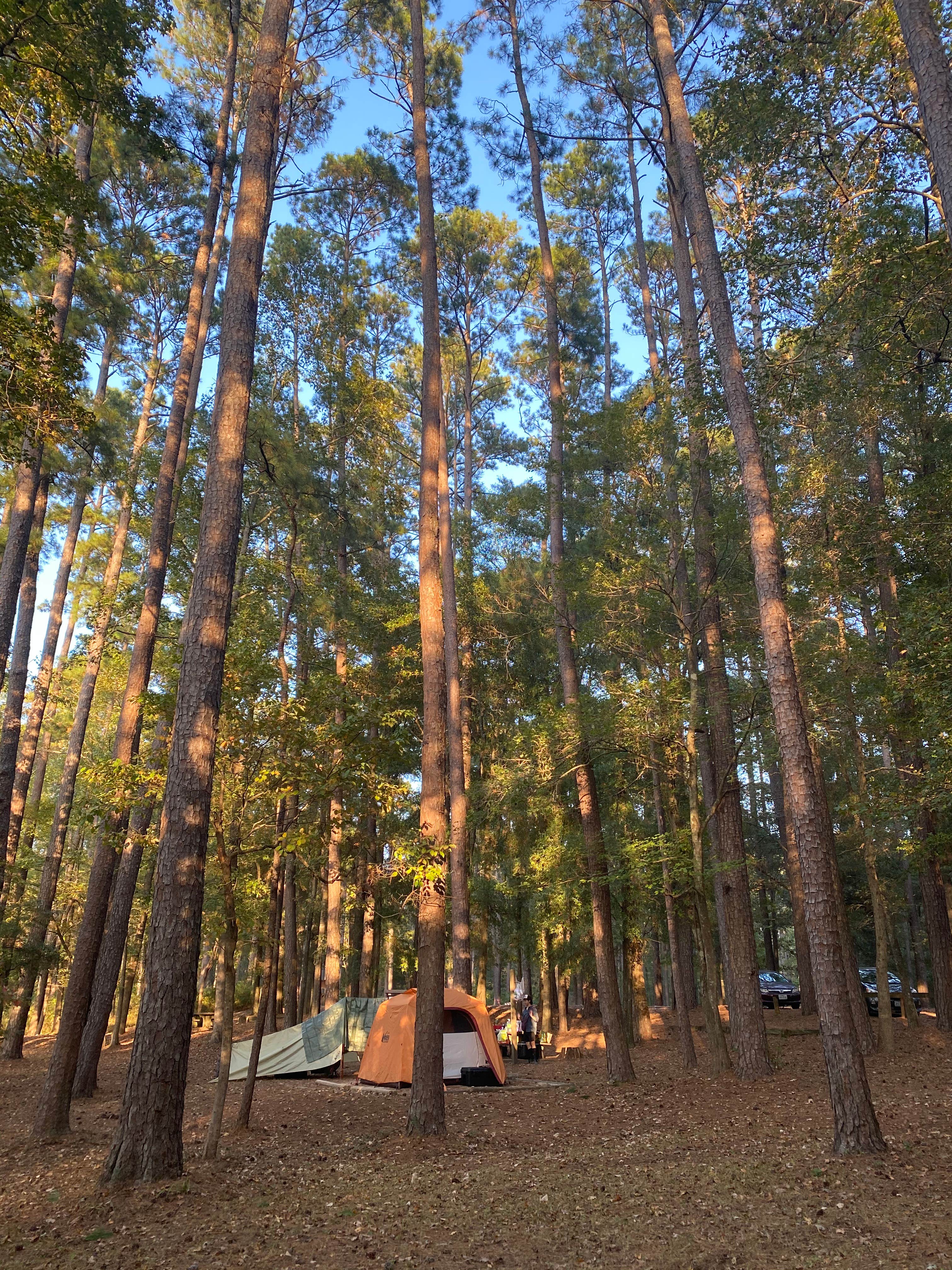 Daniel L.'s photo at Ratcliff Lake Recreation Area near Rusk, TX