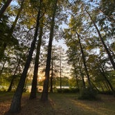 Review photo of Ratcliff Lake Recreation Area by Daniel L., October 16, 2020