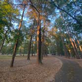 Review photo of Ratcliff Lake Recreation Area by Daniel L., October 16, 2020