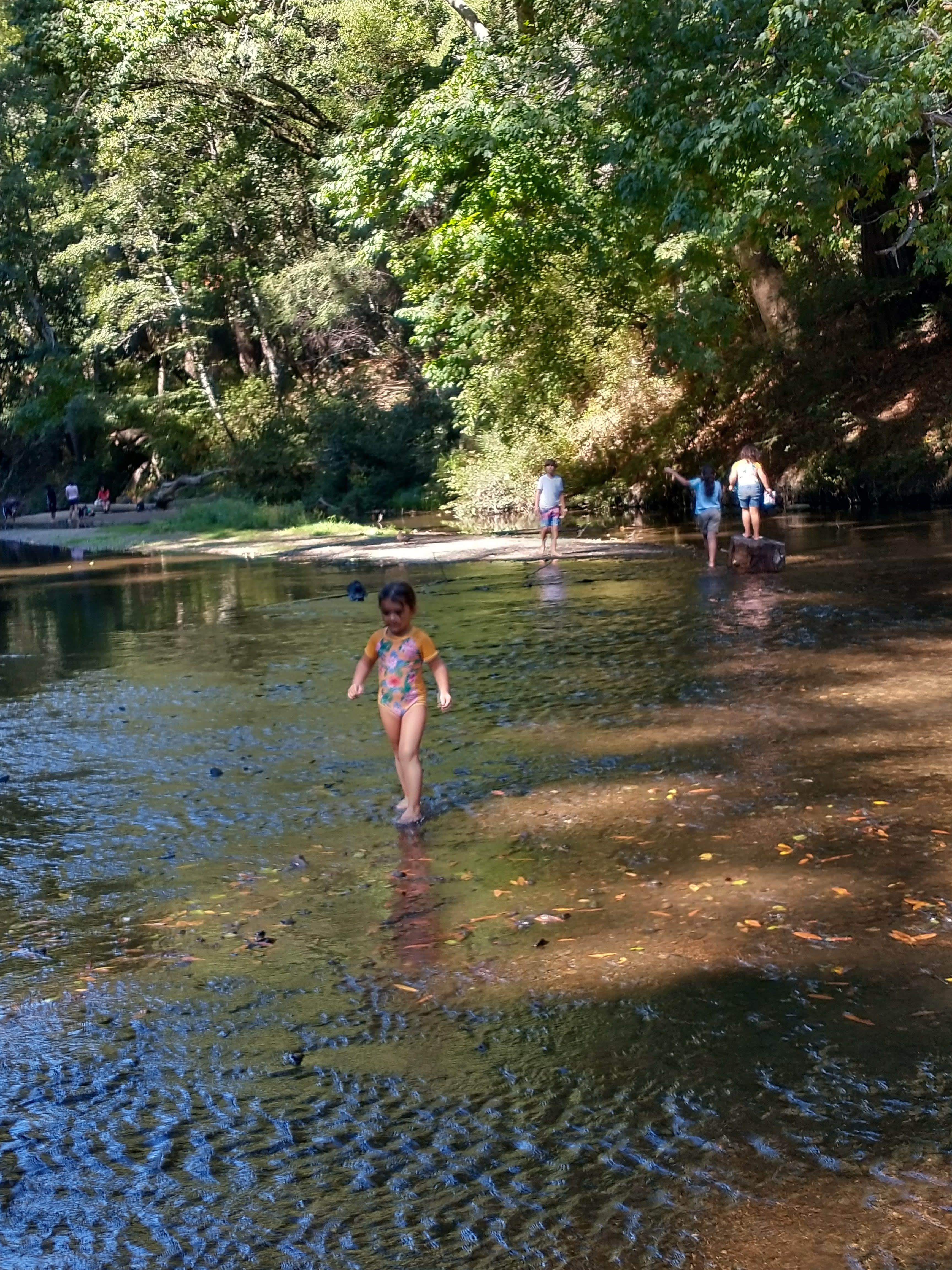 Camper-submitted photo at Smithwoods RV Park near Santa Clara, CA