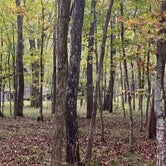 Review photo of Henry Horton State Park Campground by Chrissie S., October 16, 2020