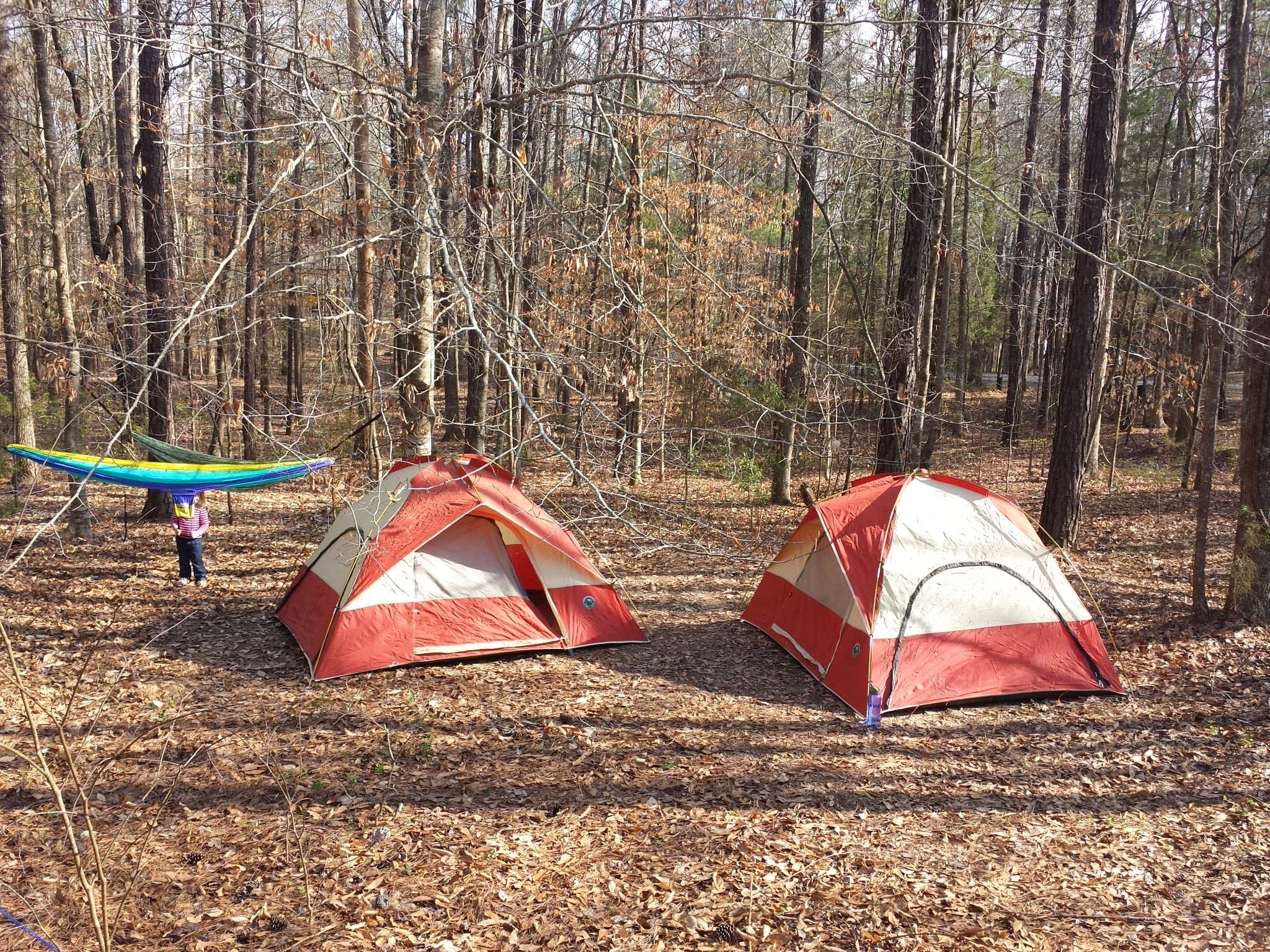 Chris B.'s photo of tent camping at Chewacla State Park Campground near Tuskegee, AL
