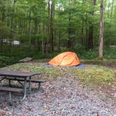 Review photo of Cosby Campground — Great Smoky Mountains National Park by Rachel , October 16, 2020