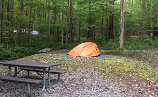 Rachel's photo of tent camping at Cosby Campground — Great Smoky Mountains National Park near Talbott, TN