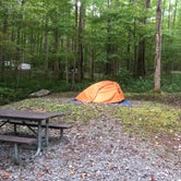 Review photo of Cosby Campground - Great Smoky Mountains National Park by Rachel , October 16, 2020