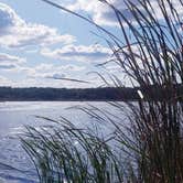 Review photo of Chain O’Lakes State Park — Chain O' Lakes State Park by Marisa A., October 16, 2020