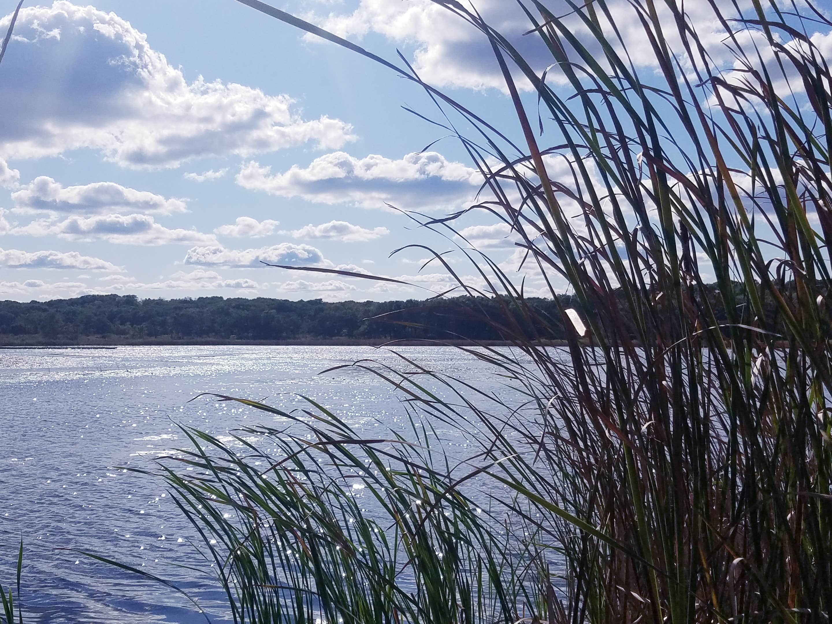 Camper submitted image from Turner Lake South — Chain O' Lakes State Park - 1