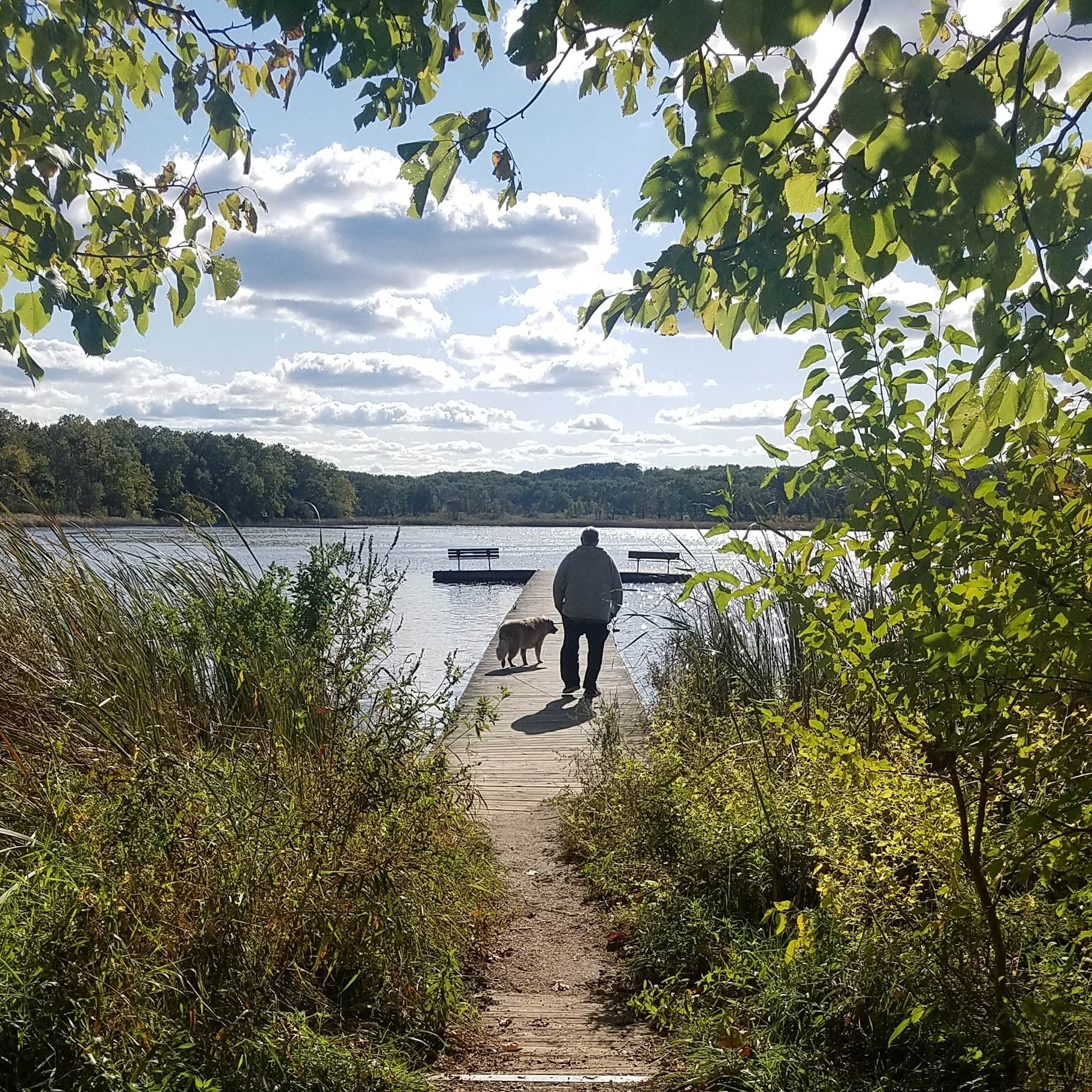 Camper submitted image from Turner Lake South — Chain O' Lakes State Park - 4