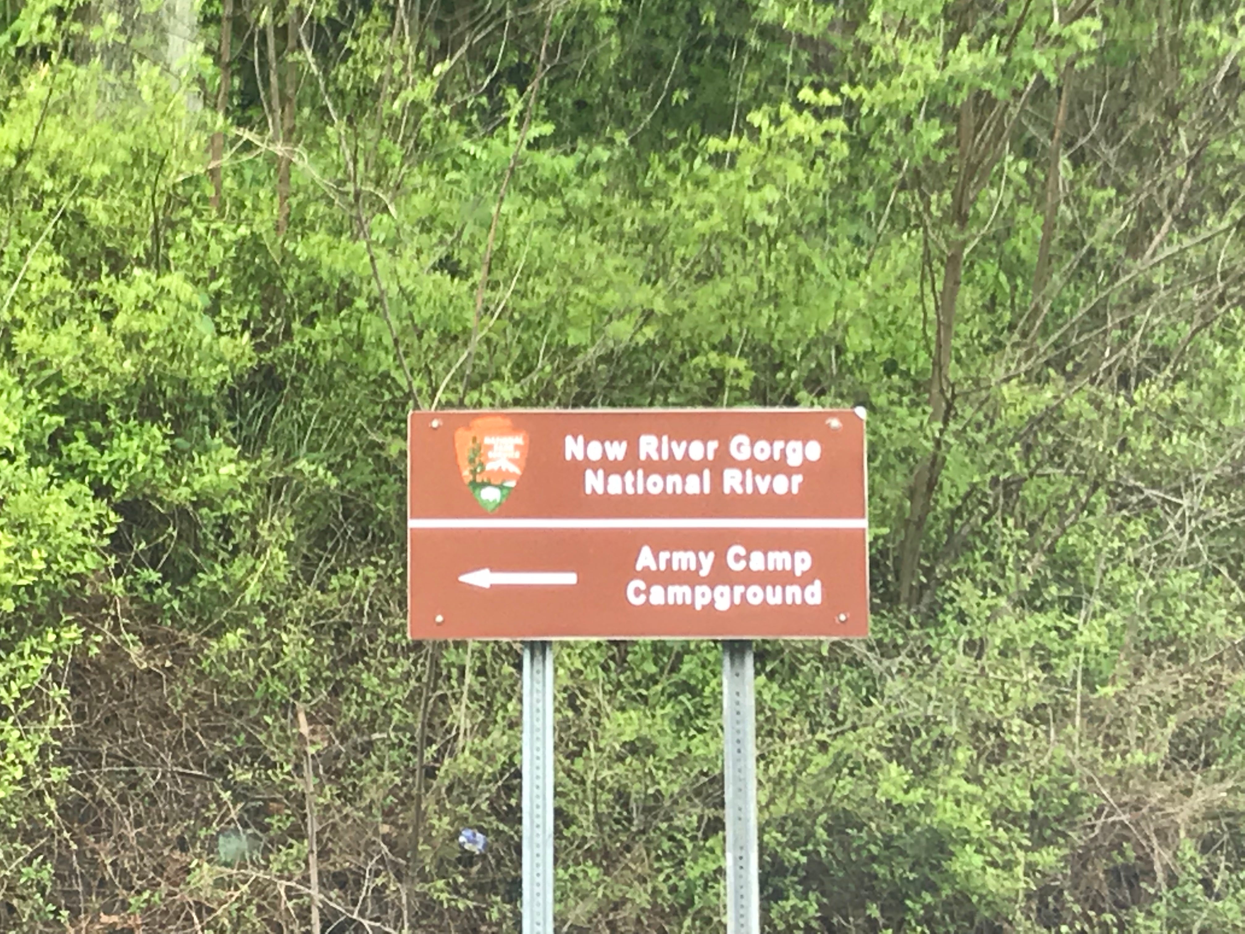 Camper submitted image from Army Camp — New River Gorge National Park and Preserve - 5