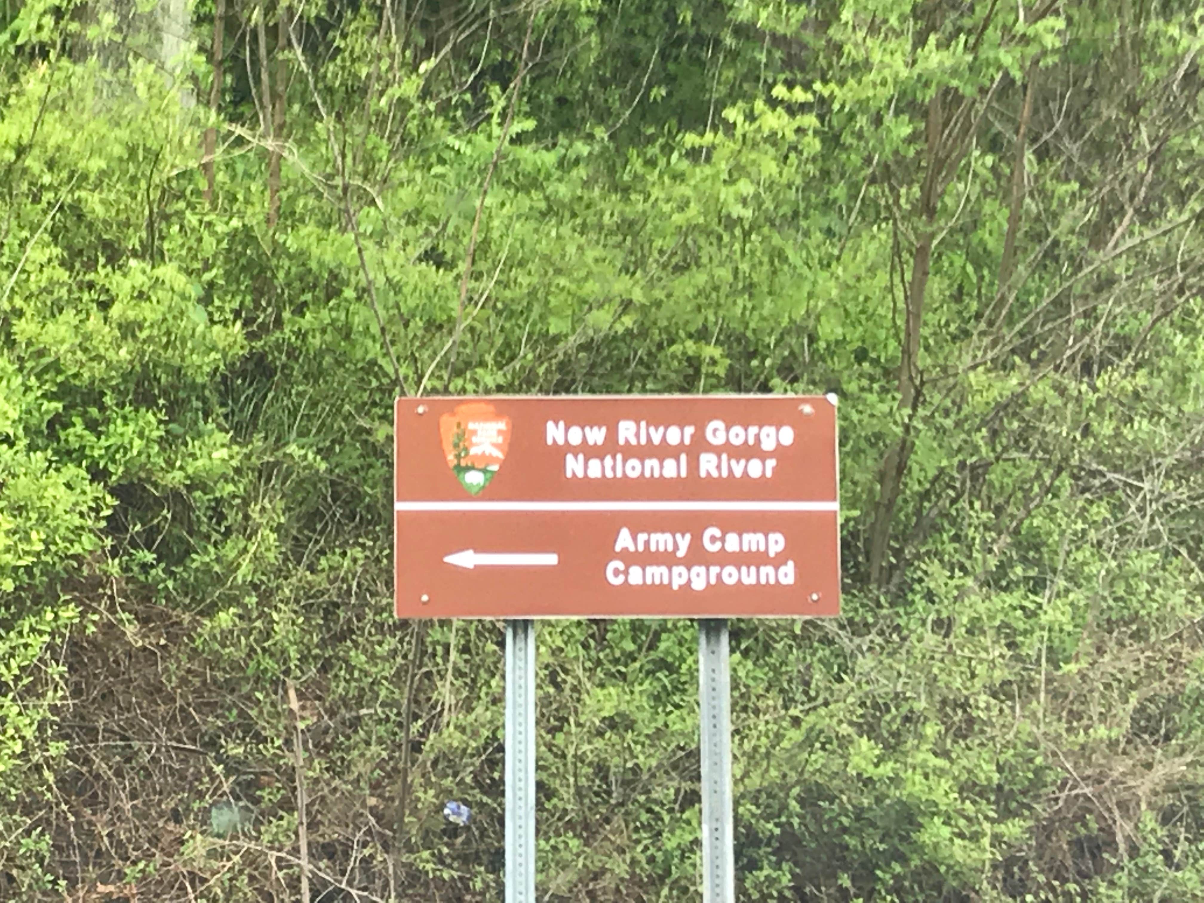 Camper submitted image from Army Camp — New River Gorge National Park and Preserve - 3