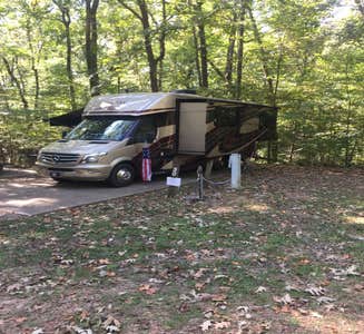 Camper-submitted photo from Clear Springs Lake Rec Area NF Campground