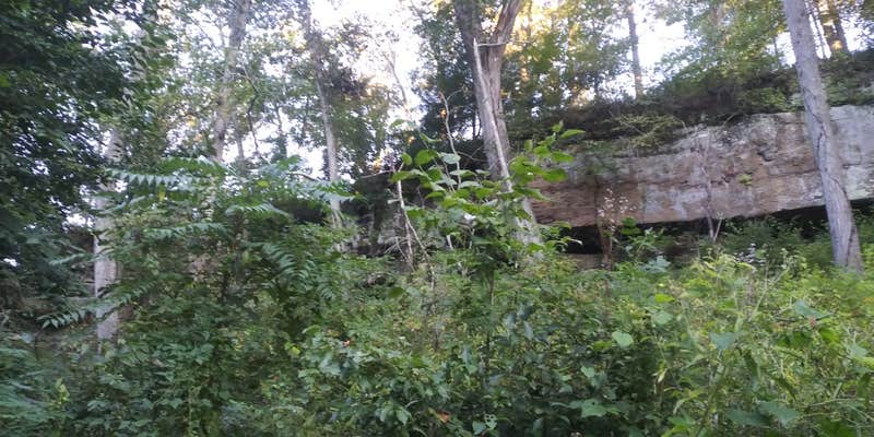 Camper submitted image from Sand Hill Trailhead