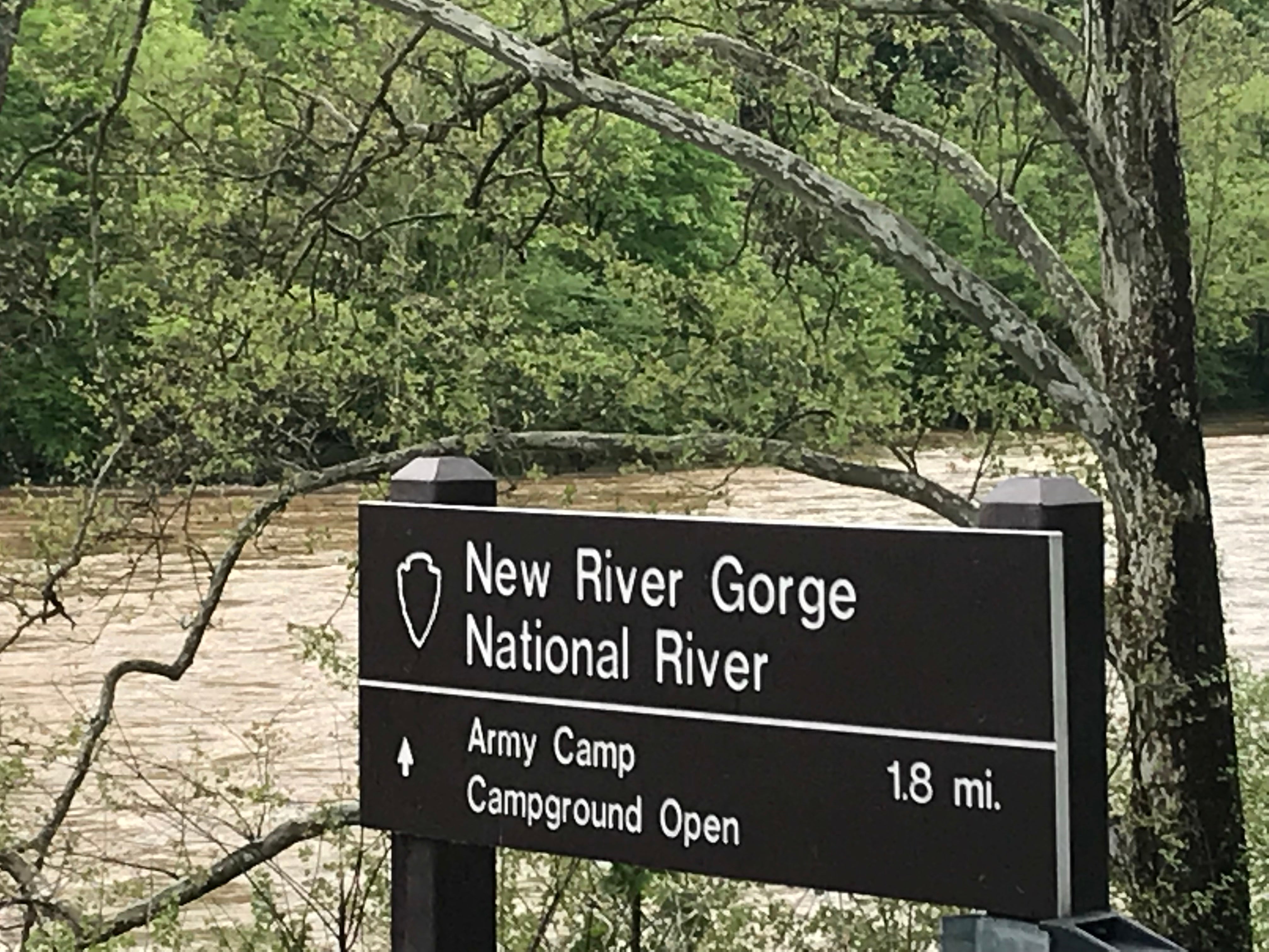 Camper submitted image from Army Camp — New River Gorge National Park and Preserve - 2