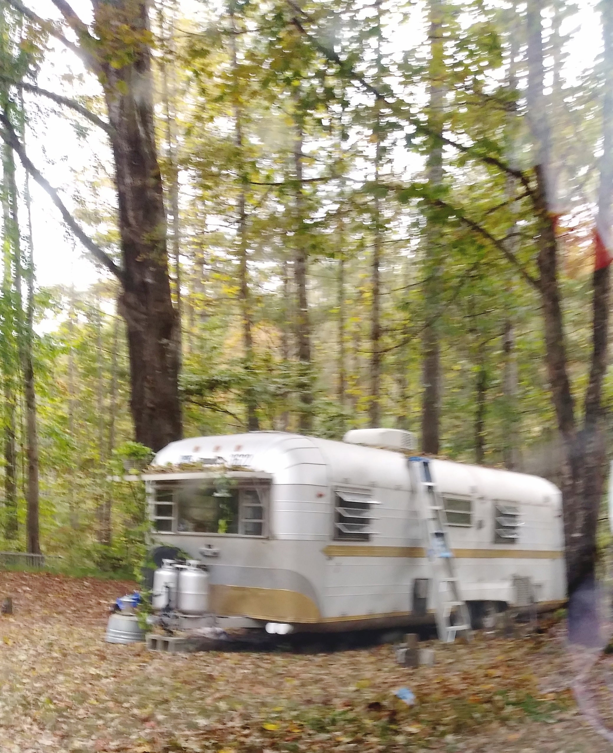 Camper submitted image from Moravian Falls Family Campground - 3