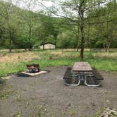 Review photo of Army Camp — New River Gorge National Park and Preserve by Dave V., May 21, 2018