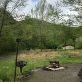 Review photo of Army Camp — New River Gorge National Park and Preserve by Dave V., May 21, 2018