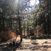 Review photo of Coyote Canyon Camping Area by Paula L., October 16, 2020