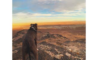 Alexandra T.'s photo of camping with pets at Volcano Peak Campground (Dispersed) near West Wendover, NV