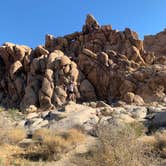 Review photo of Indian Cove Campground — Joshua Tree National Park by Alexandra T., October 16, 2020