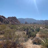 Review photo of Indian Cove Campground — Joshua Tree National Park by Alexandra T., October 16, 2020