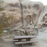 Review photo of Indian Cove Campground — Joshua Tree National Park by Alexandra T., October 16, 2020
