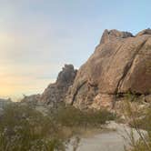 Review photo of Indian Cove Campground — Joshua Tree National Park by Alexandra T., October 16, 2020