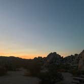 Review photo of Indian Cove Campground — Joshua Tree National Park by Alexandra T., October 16, 2020