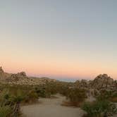 Review photo of Indian Cove Campground — Joshua Tree National Park by Alexandra T., October 16, 2020