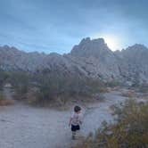 Review photo of Indian Cove Campground — Joshua Tree National Park by Alexandra T., October 16, 2020