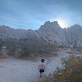 Review photo of Indian Cove Campground — Joshua Tree National Park by Alexandra T., October 16, 2020