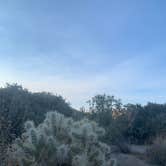 Review photo of Indian Cove Campground — Joshua Tree National Park by Alexandra T., October 16, 2020