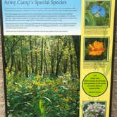 Review photo of Army Camp — New River Gorge National Park and Preserve by Dave V., May 21, 2018