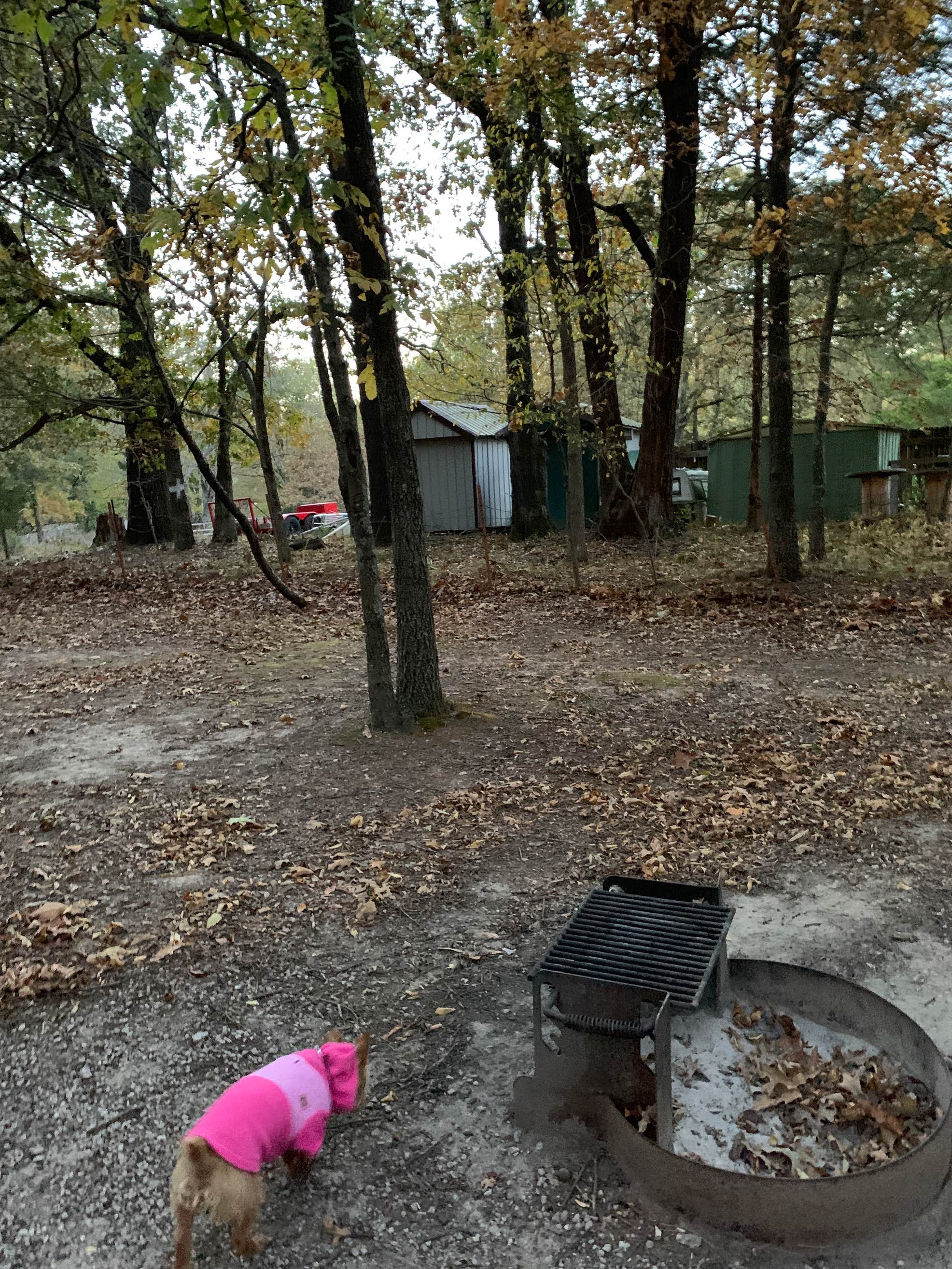 Horseshoe Bend Rec Area & Campground The Dyrt