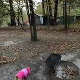 Review photo of Horseshoe Bend Rec Area & Campground by Trish R., October 16, 2020