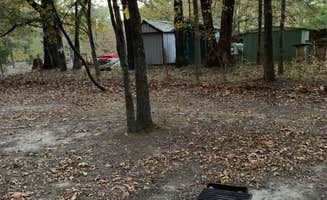 Trish R.'s photo of camping with pets at Horseshoe Bend Rec Area & Campground near Fayetteville, AR