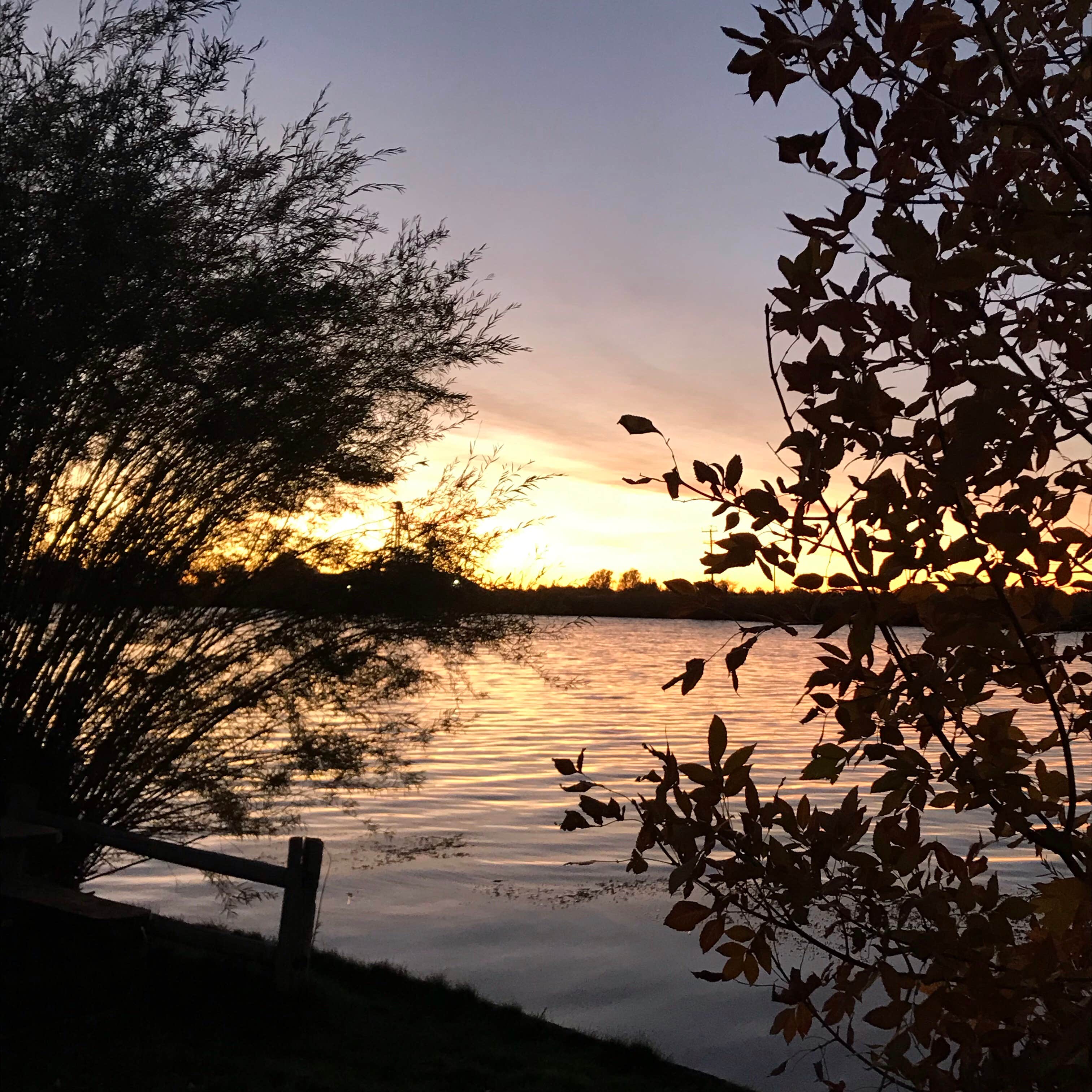 Camper submitted image from South Tourist Park Campground - 3